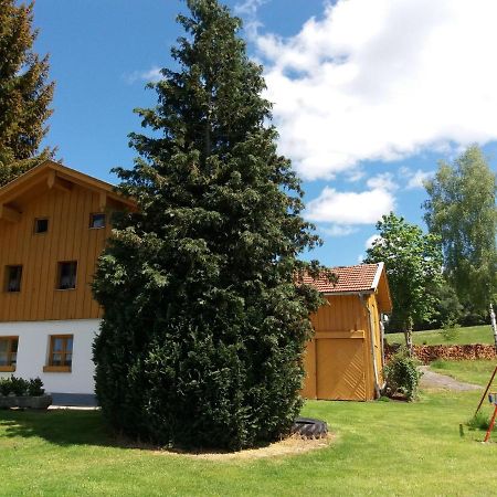 Lovely Holiday Home In Viechtach Near The Forest Exteriör bild