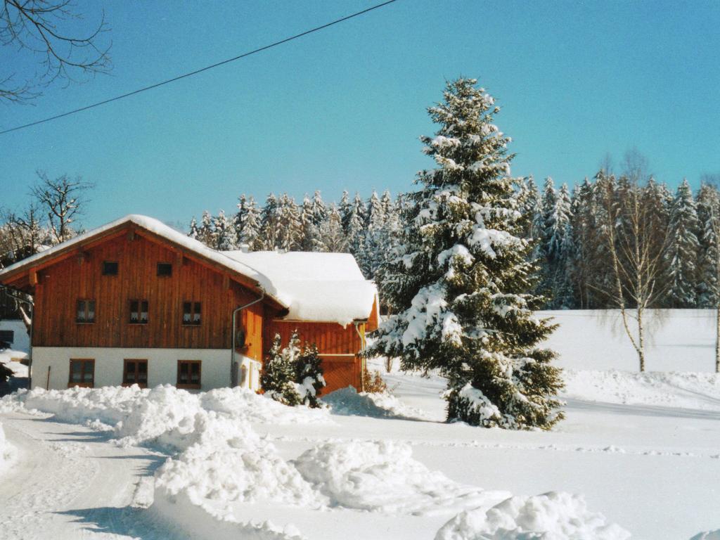 Lovely Holiday Home In Viechtach Near The Forest Exteriör bild