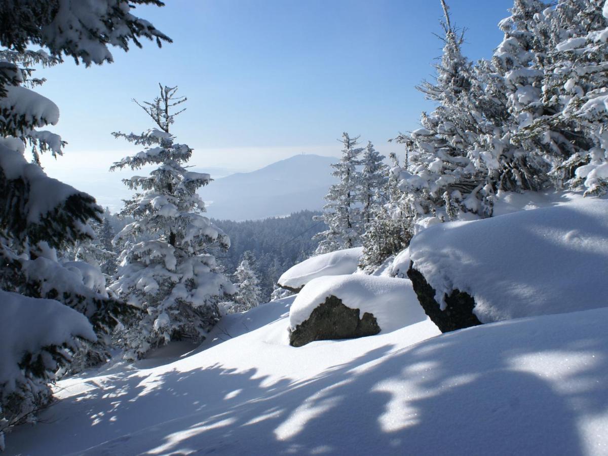 Lovely Holiday Home In Viechtach Near The Forest Exteriör bild