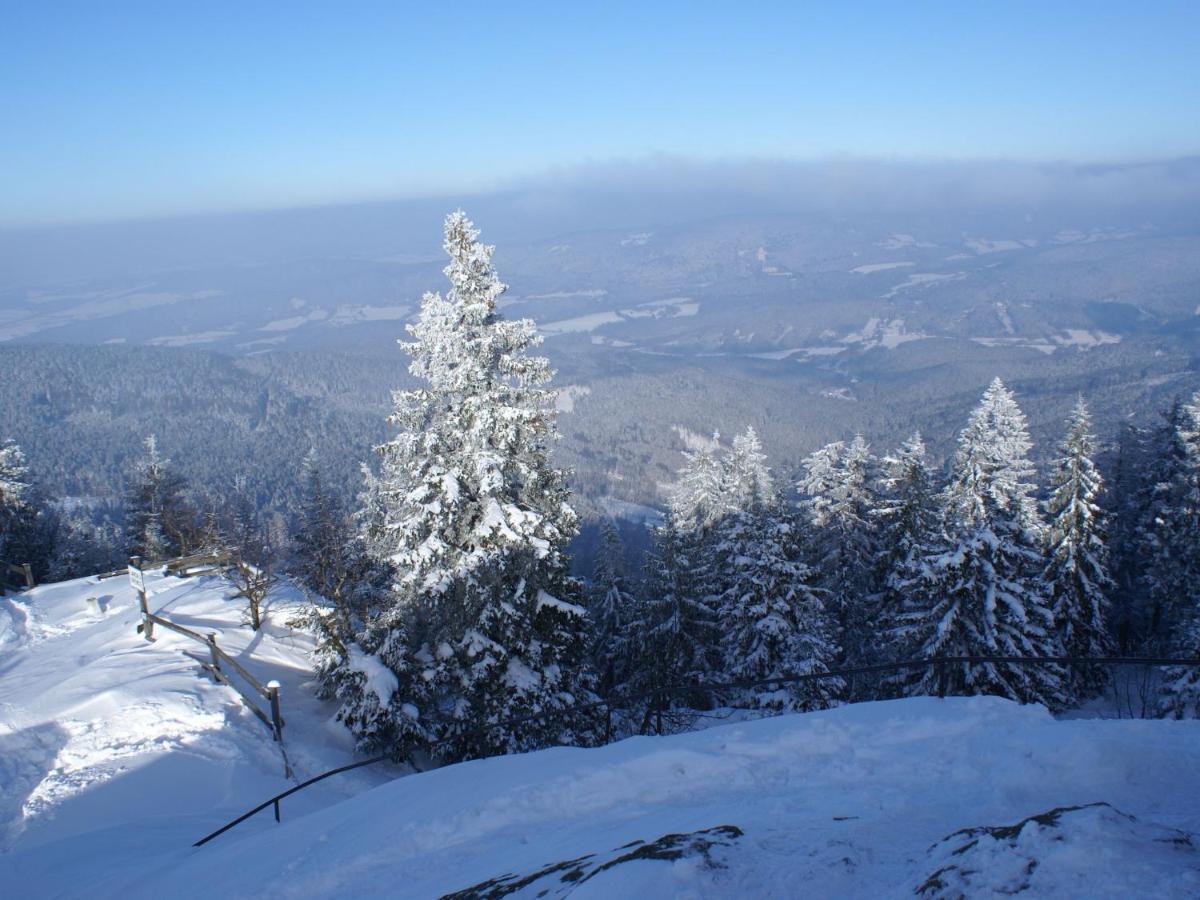 Lovely Holiday Home In Viechtach Near The Forest Exteriör bild