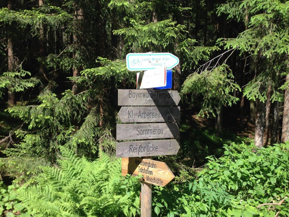 Lovely Holiday Home In Viechtach Near The Forest Exteriör bild